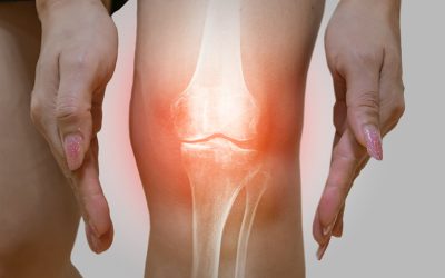 Whole Body Vibration Increases Bone Mass