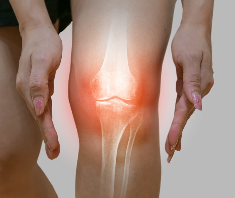 Whole Body Vibration Increases Bone Mass